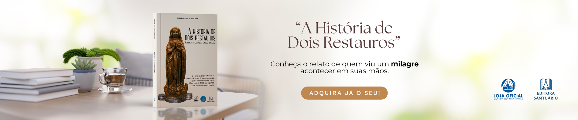 Livro Dois Restauros
